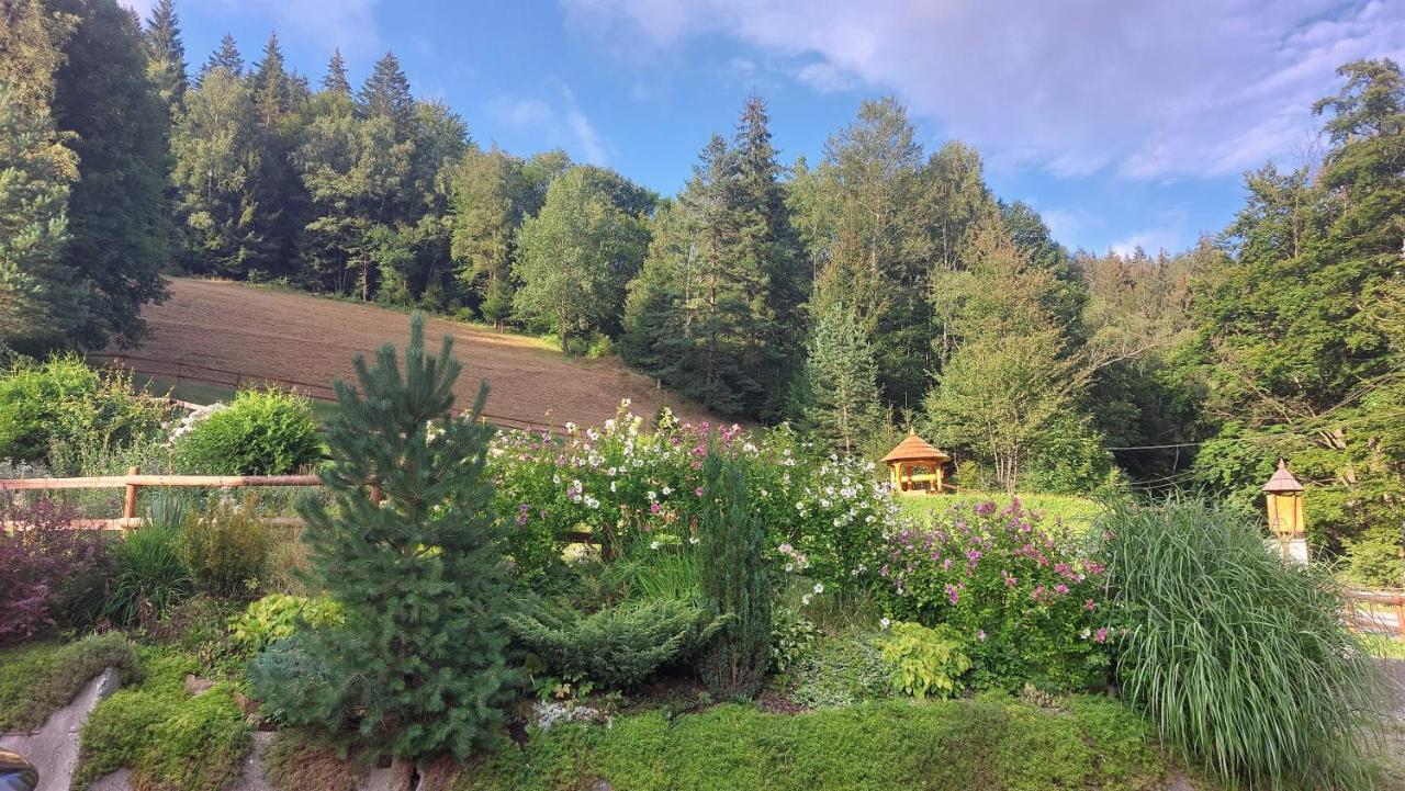 U Vesele Lisky Hotel Hutisko Екстериор снимка